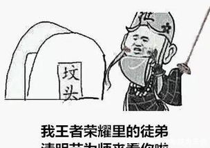  王者荣耀清明节之有趣表情包,以后打王者荣耀你得走点心了