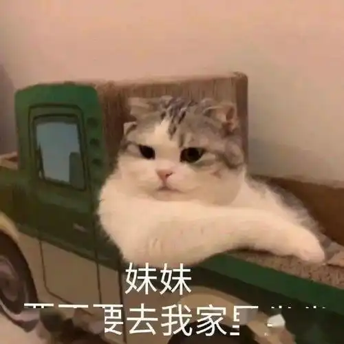  优衣库新品过于好看了吧看完我购物车满了