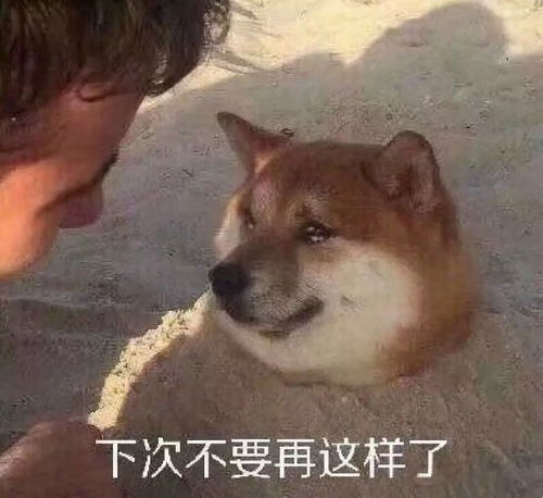  招摇定档1月28日28日28日许凯是怎么做到又奶又狼的