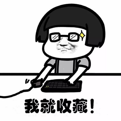  珠海金湾招聘编制教师40名公告附有往年考情和薪资待遇
