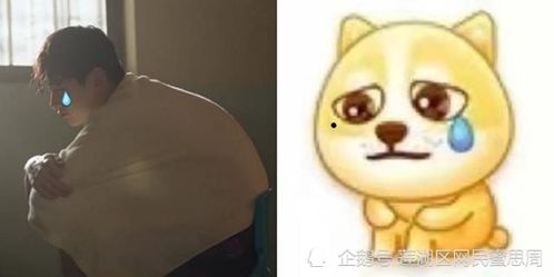 定春表情包白敬亭