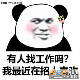  有人找工作吗我最近在招人喜欢图片难道我就不可怜吗表情包下载乐游网游戏下载