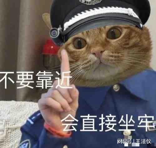  如果一个加拿大男明星在中国强奸未成年少女,会被判多少年