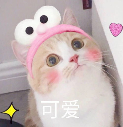  2018最新一期的东大方程式字幕出了