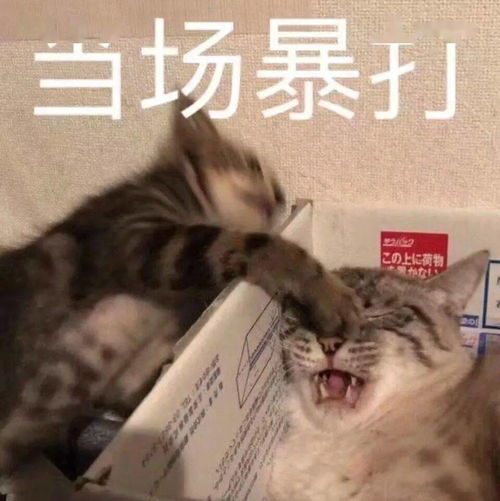  滚蛋吧,诺如君