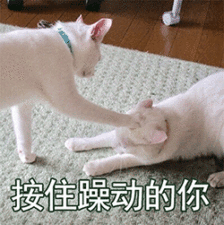 惊呆青岛小伙扮美女招嫖,忽悠了全国170多名男子 惊呆青岛小伙扮美女招嫖,忽悠了全国170多名男子