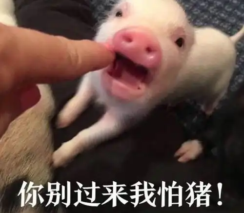 新娘的十里红妆加四抬大轿,原来是皇帝下旨规定的 新娘的十里红妆加四抬大轿,原来是皇帝下旨规定的