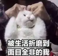  想要假期吃不胖希望永远瘦下去秋天减肥必知4件事