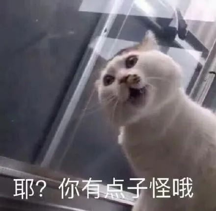  你再说一句