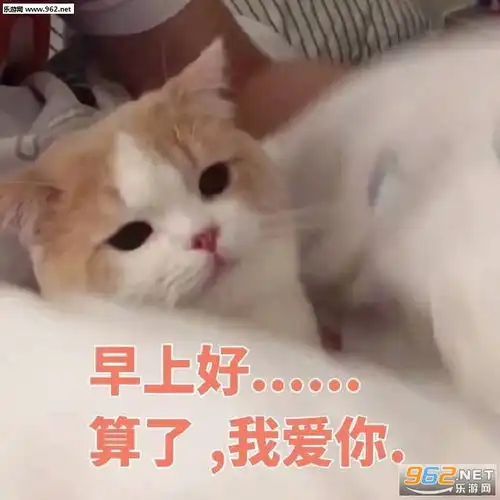  表情我是不是有点胖了图片表情包早上好算了我爱你表情包下载...表情
