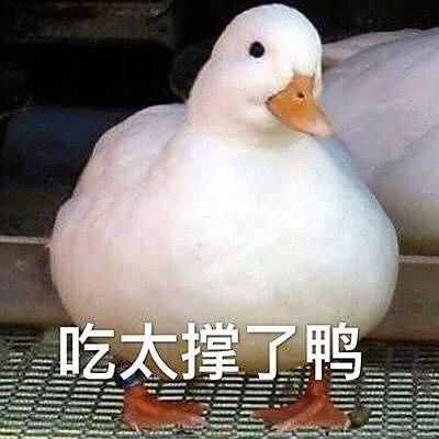  除了香蕉觉醒麦锐乐华还有哪家出团综吗