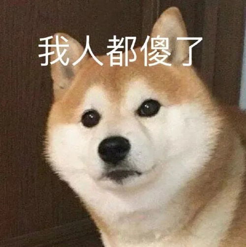  表情包乖巧