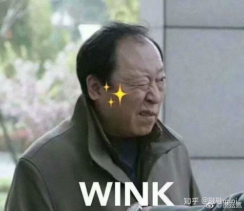 葛优表情包动图米家山