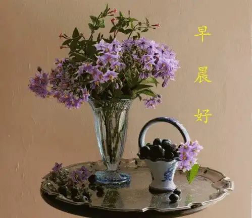  最新群发早上好问候祝福动态表情图片最美早晨好动画表情图片