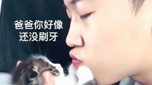  猫把我熏懵逼了,爸爸你走开
