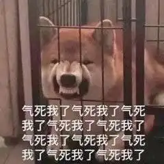 杰伦粉丝表情包林狗