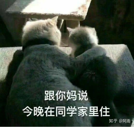  如何让女朋友对自己有足够的信任