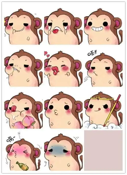  这个兔子叫什么想要一套表情包