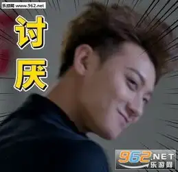  谢晓飞表情包黄子韬谈判官表情包下载乐游网游戏下载