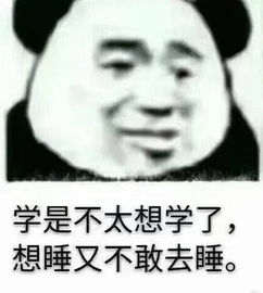  无水印熊猫头撩人专用包嘤嘤,哥哥你真好