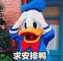  带好这份深度游攻略,清宫旅行不迷路