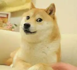  这只在打右勾拳的柴犬会是下一个doge么