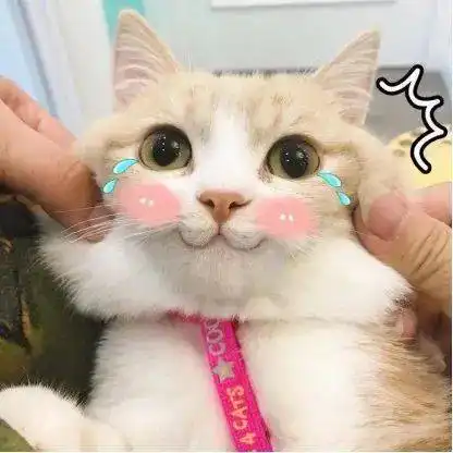  我变秃了,也变强了