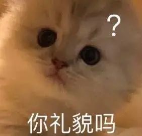  让我看看,可爱沙雕表情包谁不想要