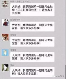  菊势一片大好本期排名第一会不会是王菊
