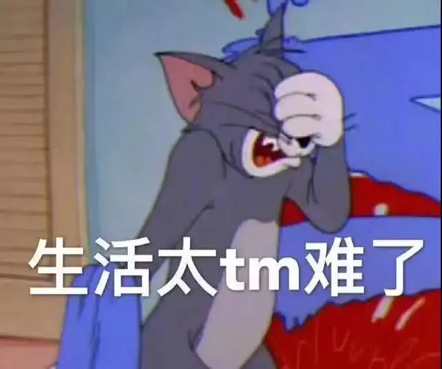  表情表情包猫和老鼠表情包,这是什么绝世小可爱表情