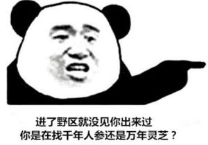  王者荣耀怎么举报队友才能成功,掌握技巧成功率90扣14分