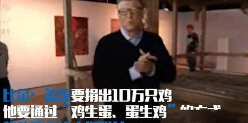  鸡公能干济公的活儿比尔盖茨送非洲人民100000只鸡,只是为了帮穷人脱贫致富