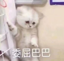  新生攻略丨保姆级浙传生活指南桐乡校区