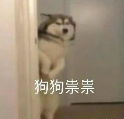  下一个小长假有3天回家的票可以安排上了