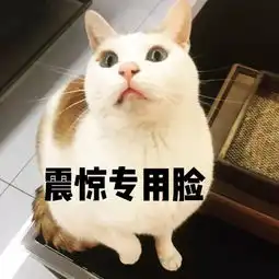  上学不到三周,我儿子被劝退了两回l小ro专栏