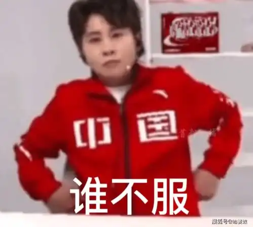  让吴京老师歇一歇王濛表情包来啦
