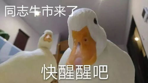  银行杀疯了,都嗨了起来