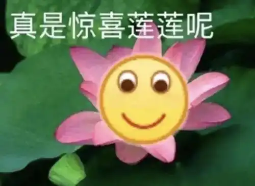  如果有一天菌菌恋爱了......