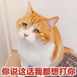  爆笑段子正在食堂吃饭,一男人突然怒说到我可不是吃素的