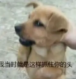  你绝对想不到,男生的快乐多么简单女生慎入