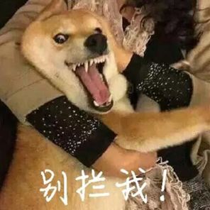  美中山这里有一片绚烂花海关键还免费哦