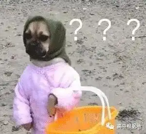  我是老师,别给我贴标签