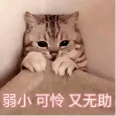  低至2折端午出门去深圳惠东惠阳玩只要一杯奶茶钱还有5折券可抢