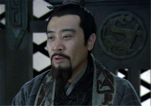  刘璋献城给刘备以后,他还有两个儿子,最终下场如何