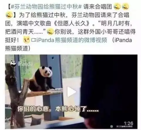  比中沪牌还难近20倍凌晨5点排队,就为了见ta卖萌一分钟