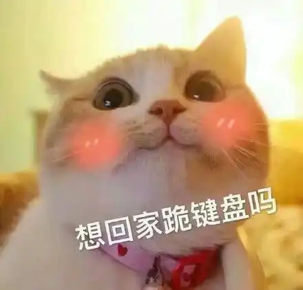  撩妹撩汉表情包