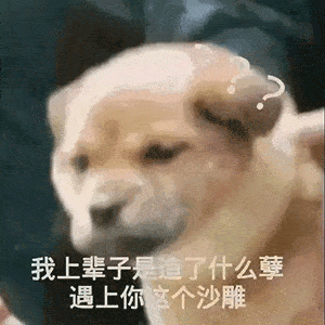  斗图表情包我快要失去理智了