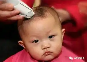 二月二剪头发表情包宝宝