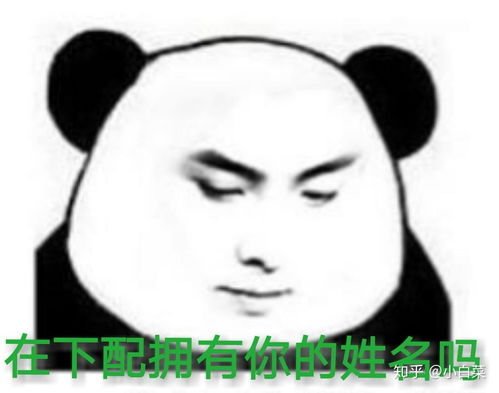  请问有没有问别人姓名的表情包
