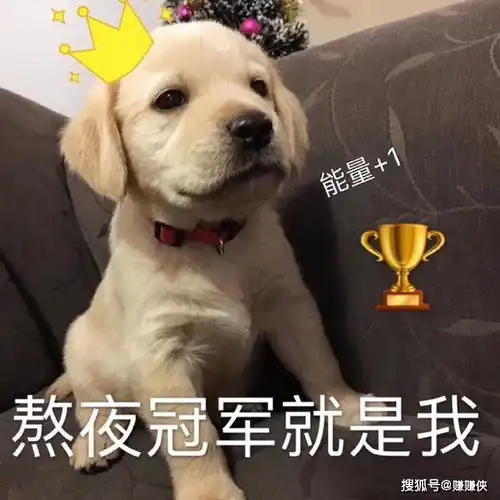  人人都爱表情包图片打爆你的狗头
